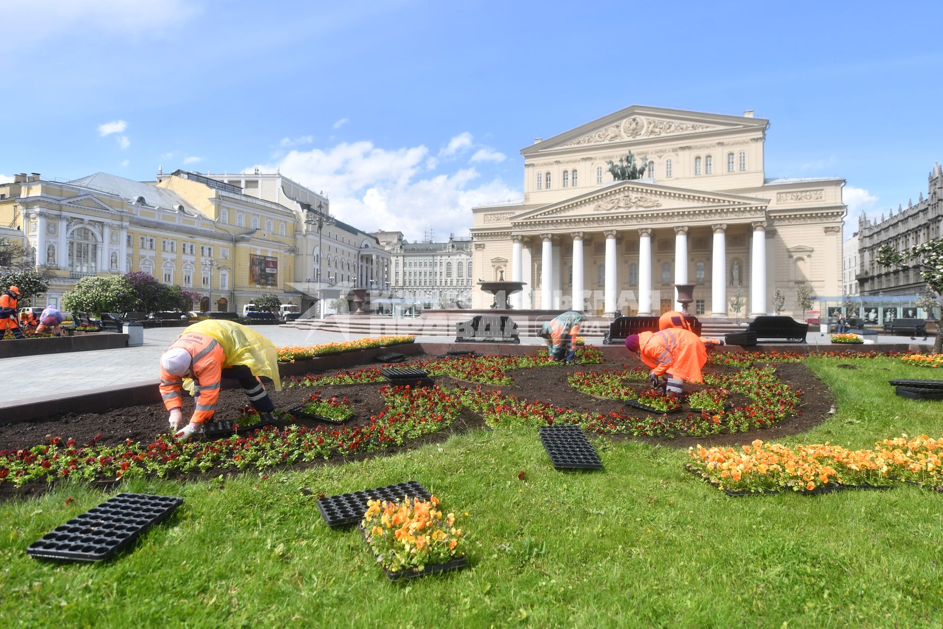 Москва. Работники по озеленению высаживают цветы на клумбы возле Большого театра.