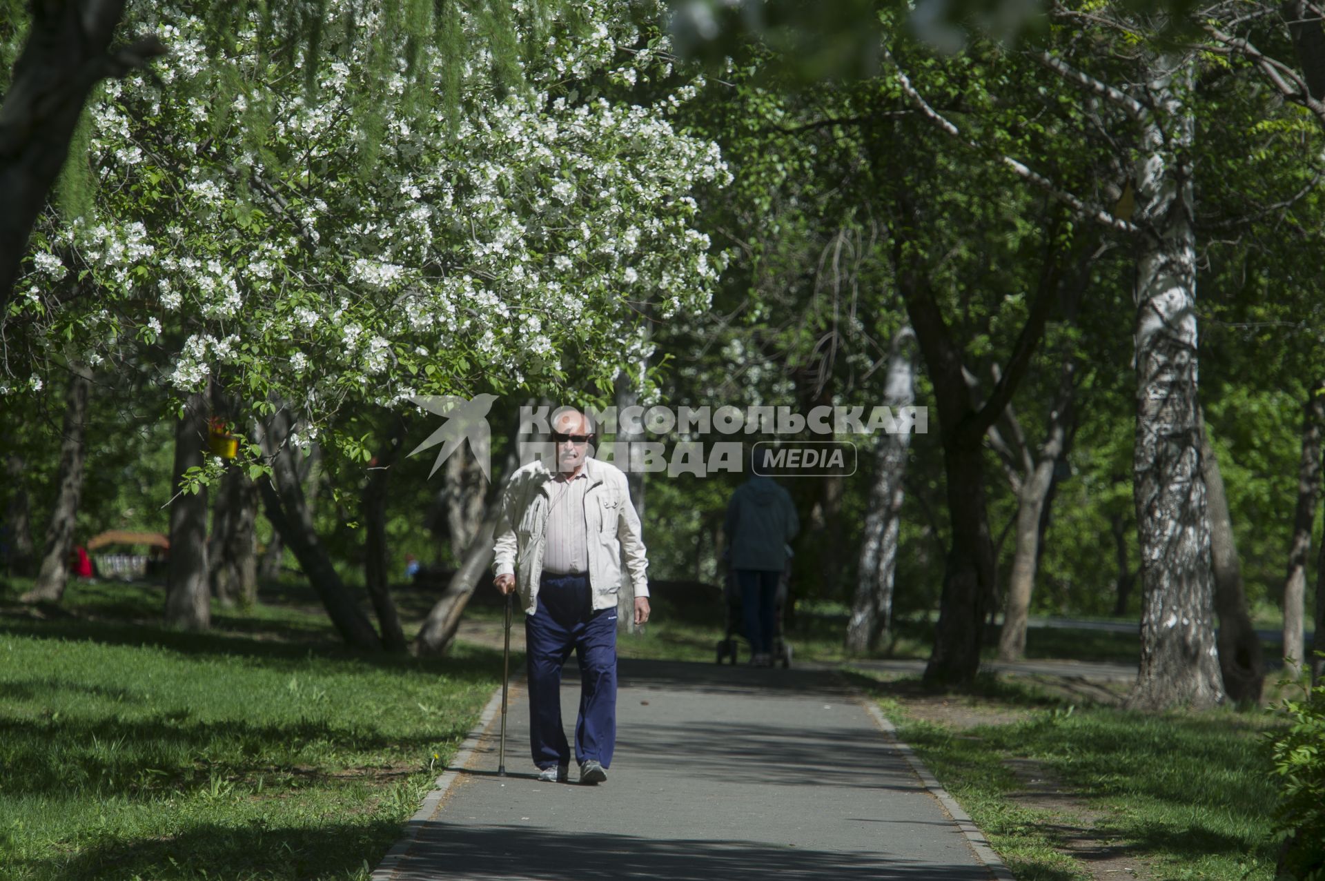 Екатеринбург. Пожилой мужчина гуляет в парке во время режима самоизоляции введеного для нераспространения новой коронавирусной инфекции COVID-19