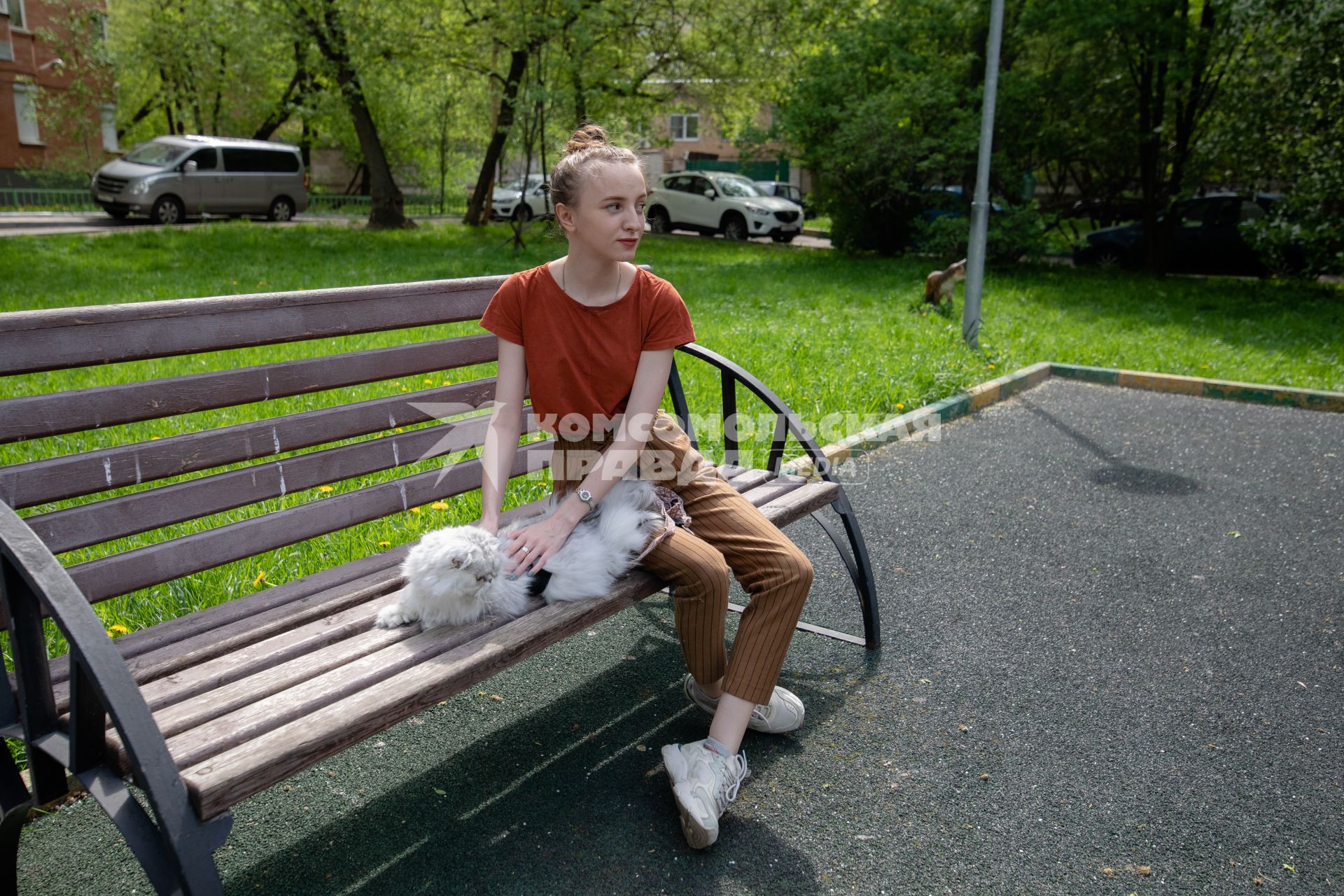 Москва. Девушка гуляет с кошкой во дворе.