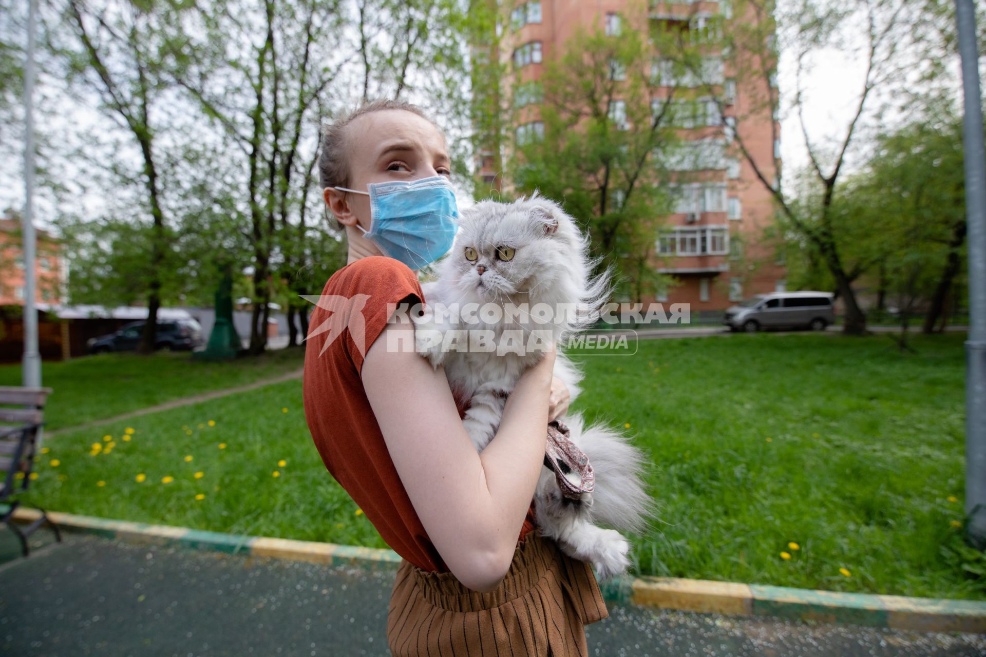 Москва.  Девушка в медицинской маске гуляет с кошкой во дворе.