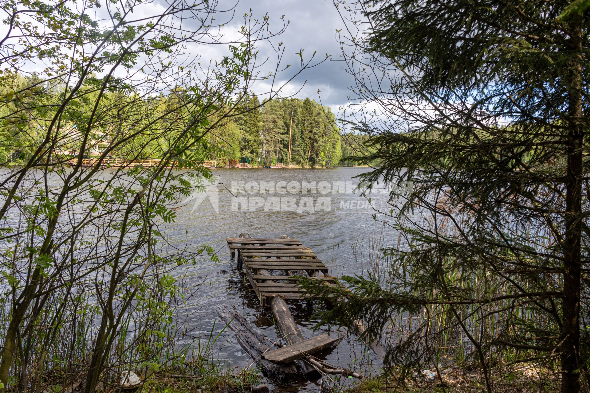 Московская область. Вид  на  Луковое озеро Ногинского района.