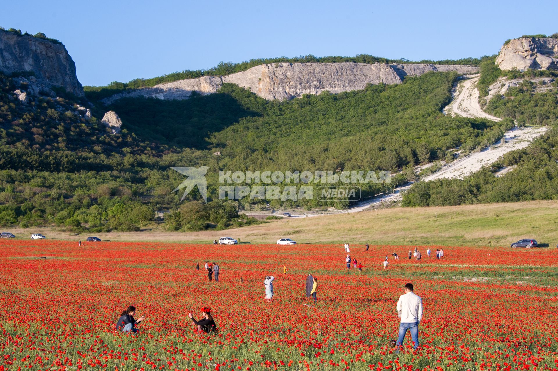 Крым, Село Терновка. Отдыхающие на маковом поле.