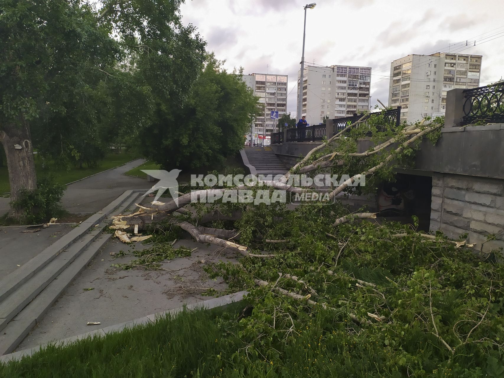 Екатеринбург. Дерево упавшее во время урагана перекрыло выход их подземного перехода