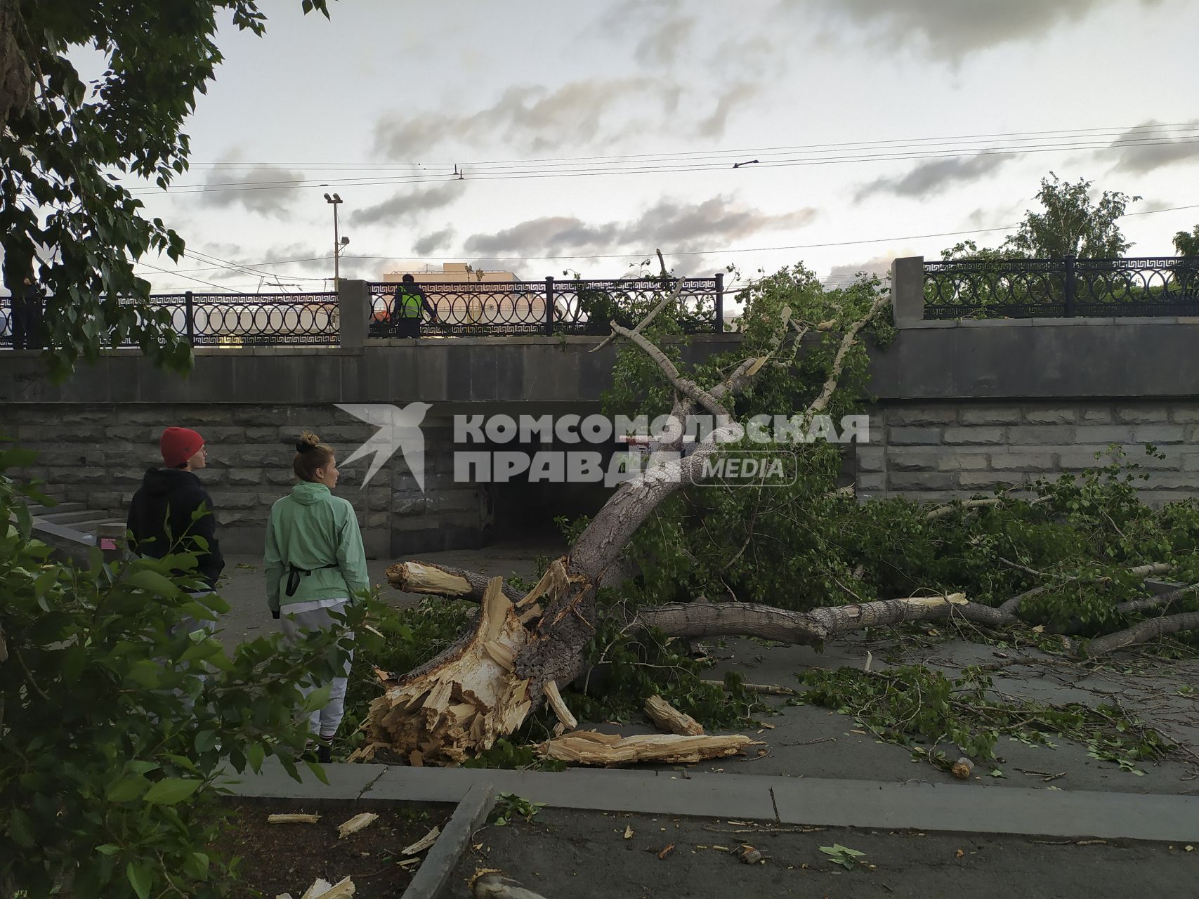 Екатеринбург. Дерево упавшее во время урагана перекрыло выход их подземного перехода