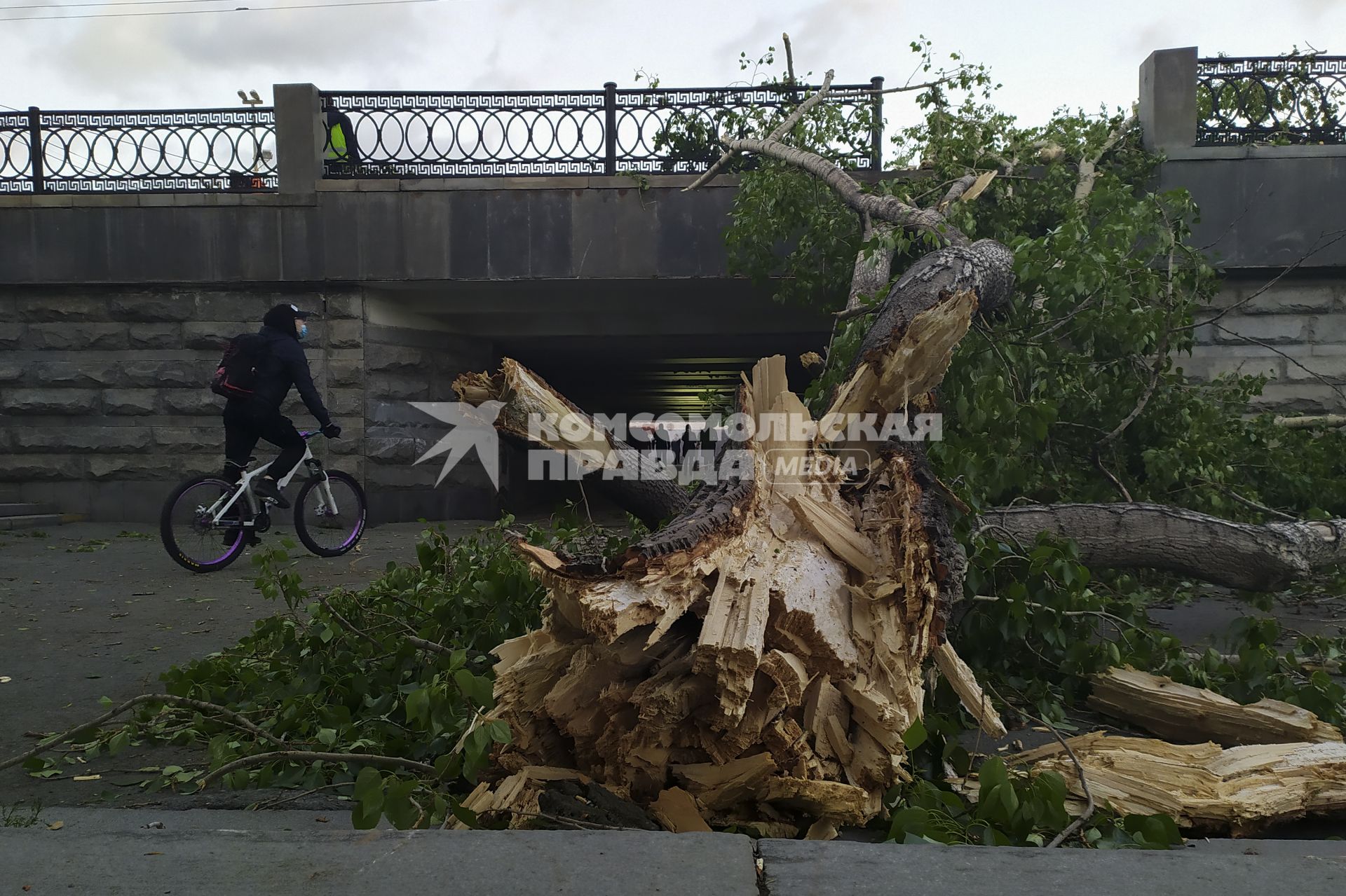 Екатеринбург. Дерево упавшее во время урагана перекрыло выход их подземного перехода