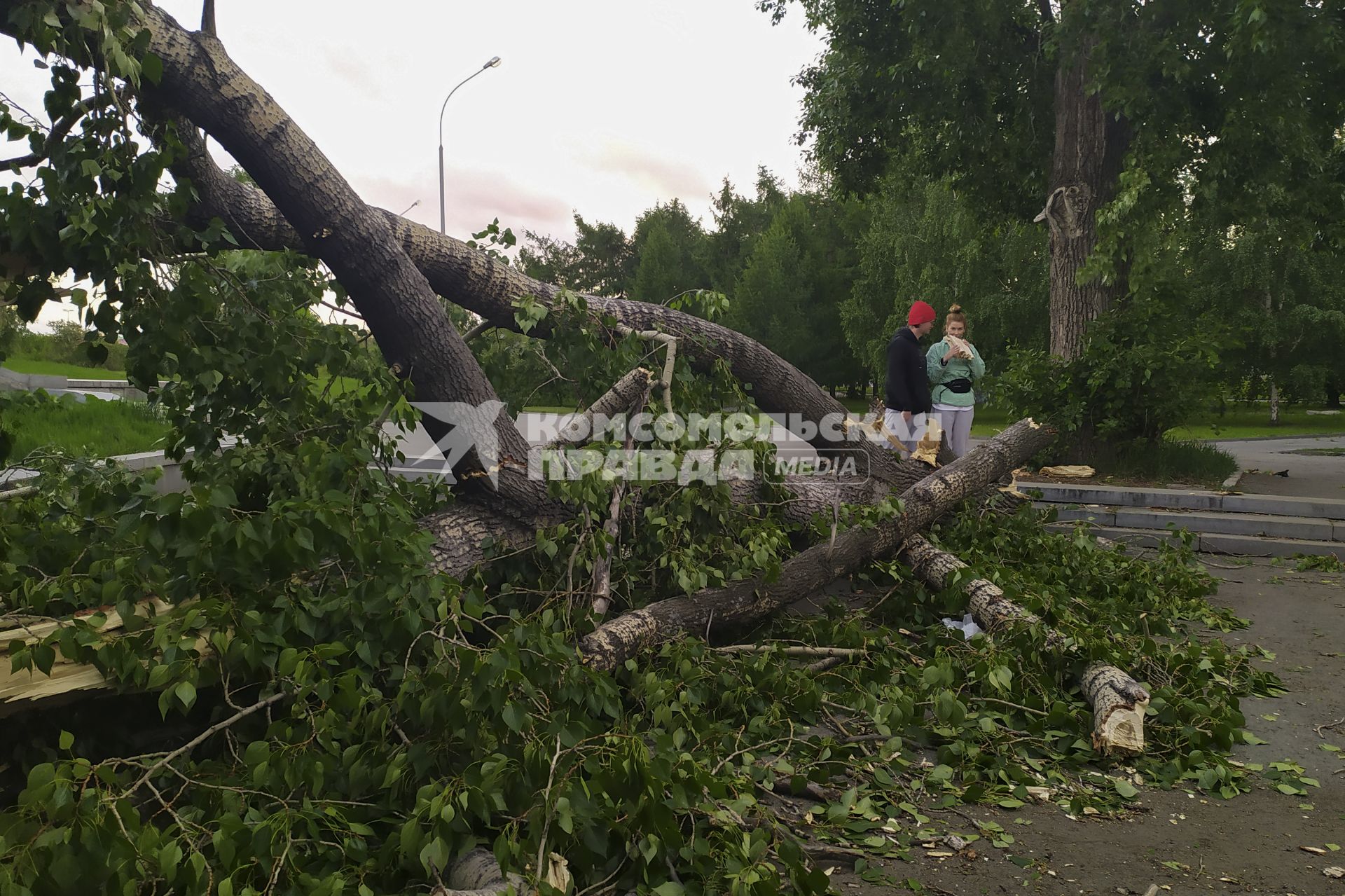 Екатеринбург. Дерево упавшее во время урагана перекрыло выход их подземного перехода