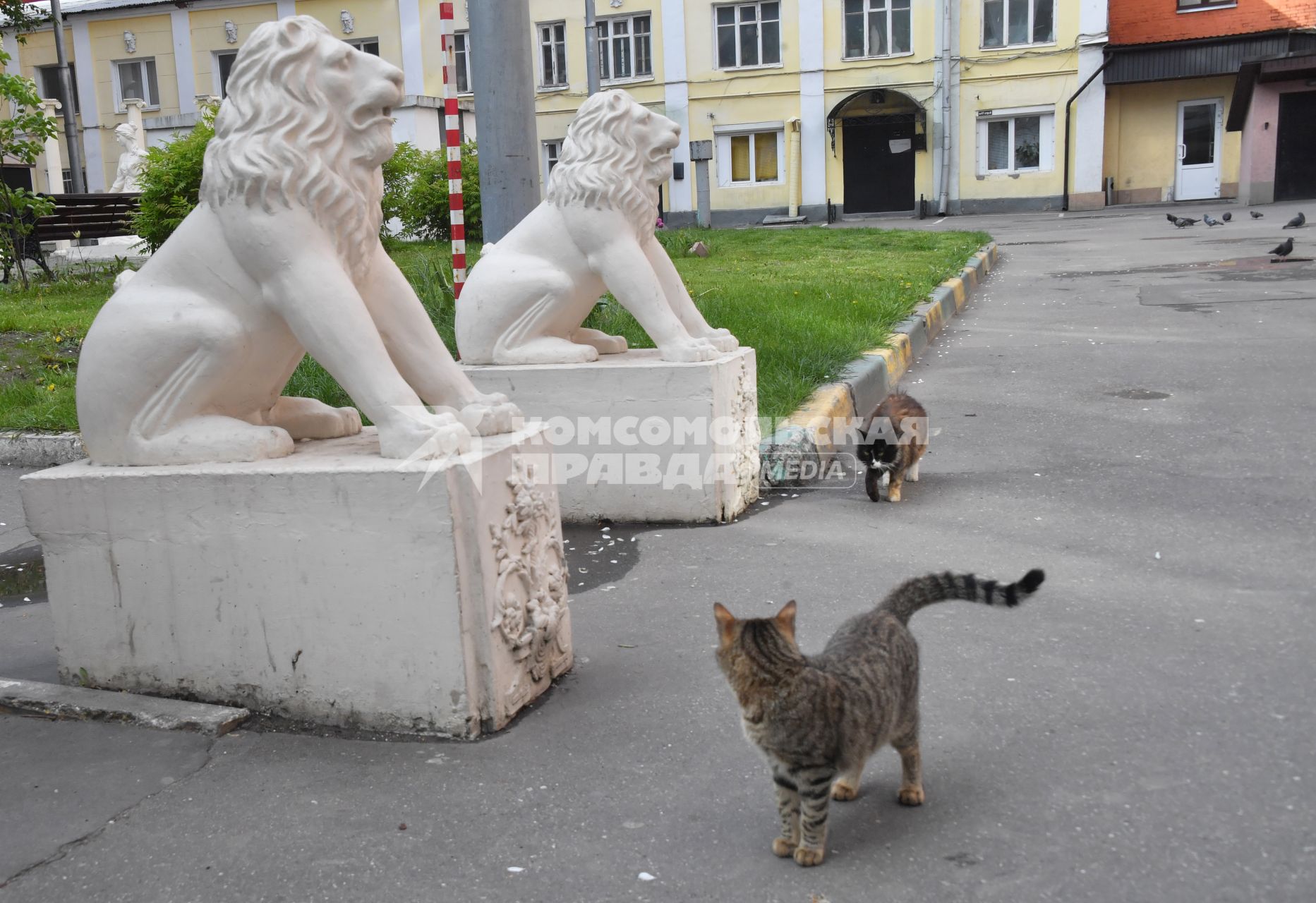 Москва. Кошка и скульптура.