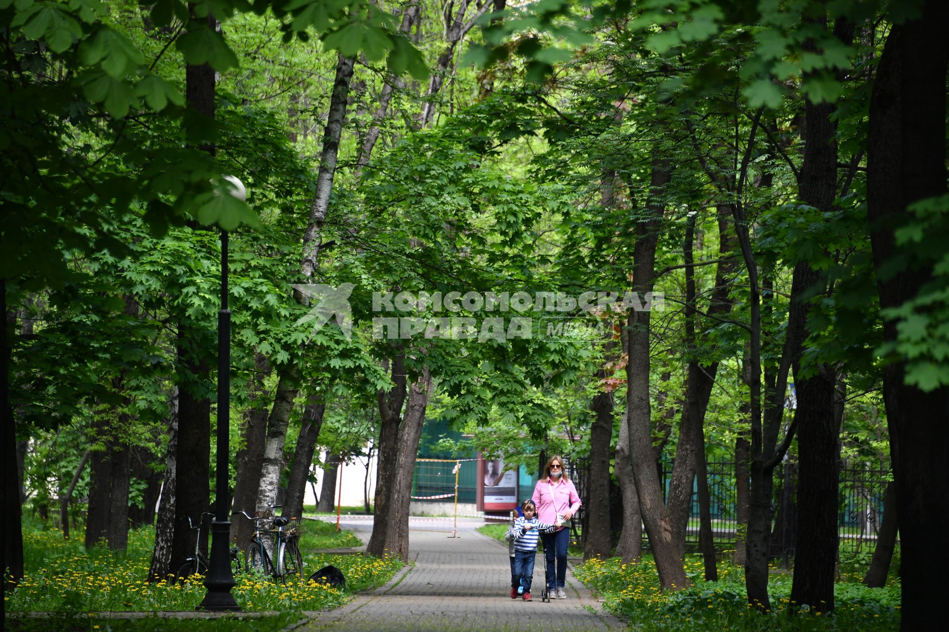 Москва. Посетители гуляют на  территории парка.