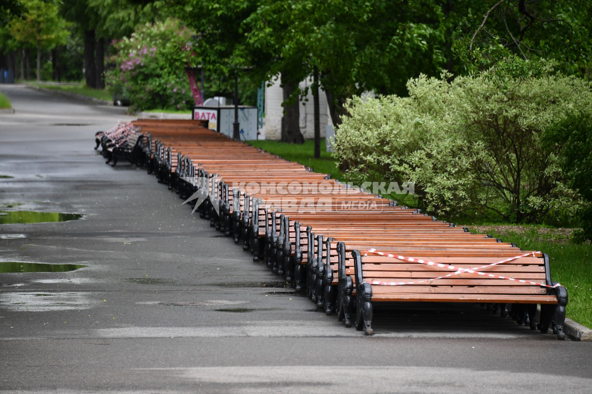 Москва.  Скамейки с ограничительной лентой на аллее Парка Горького.