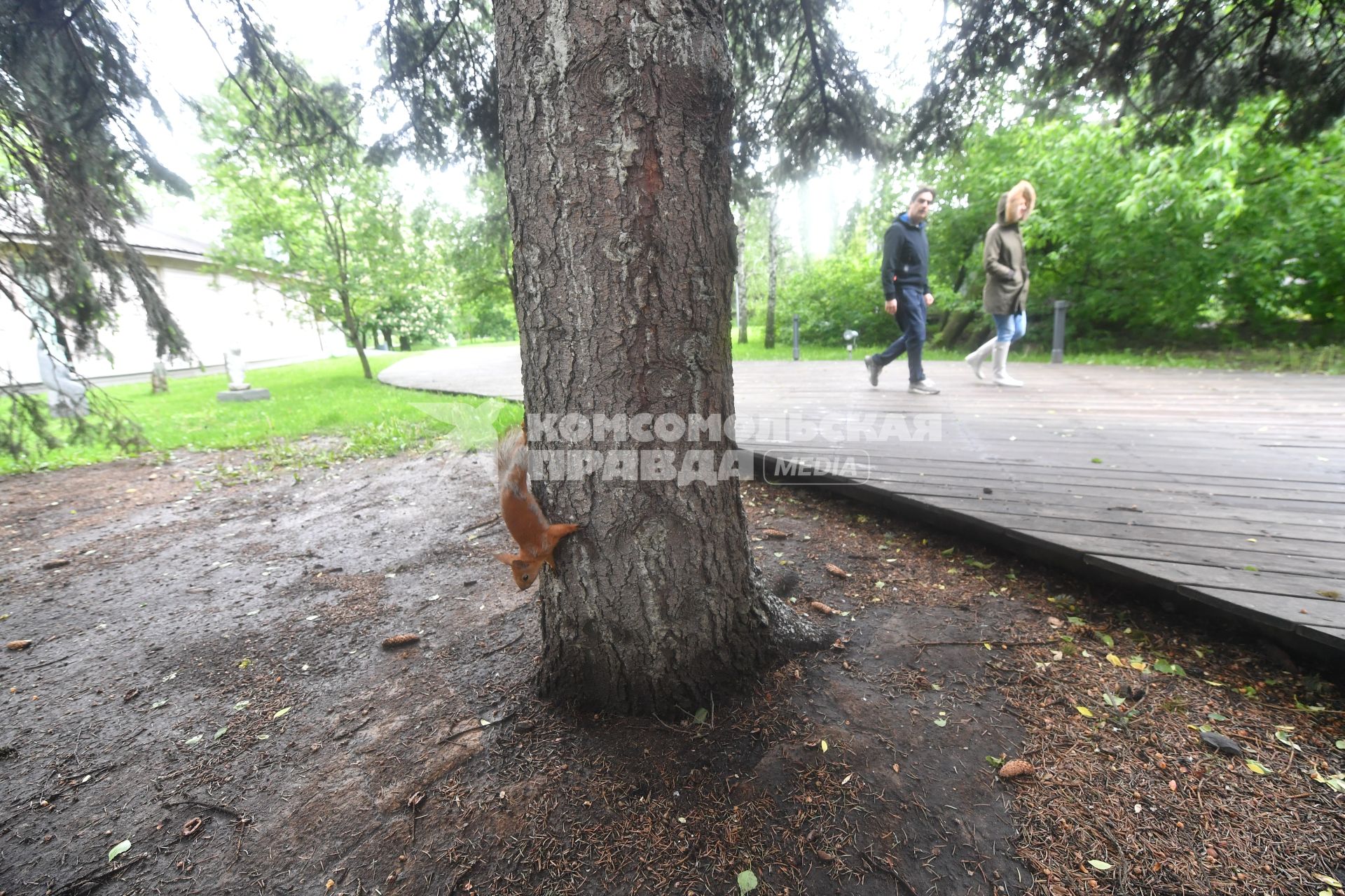 Москва.  Молодые люди гуляют в парке.