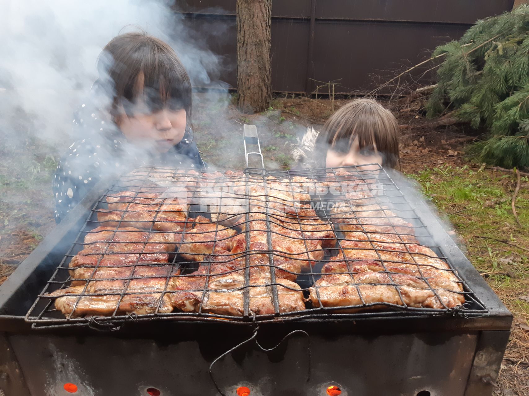 Московская область, деревня Вялки. Мясо зажаренное на решетке.