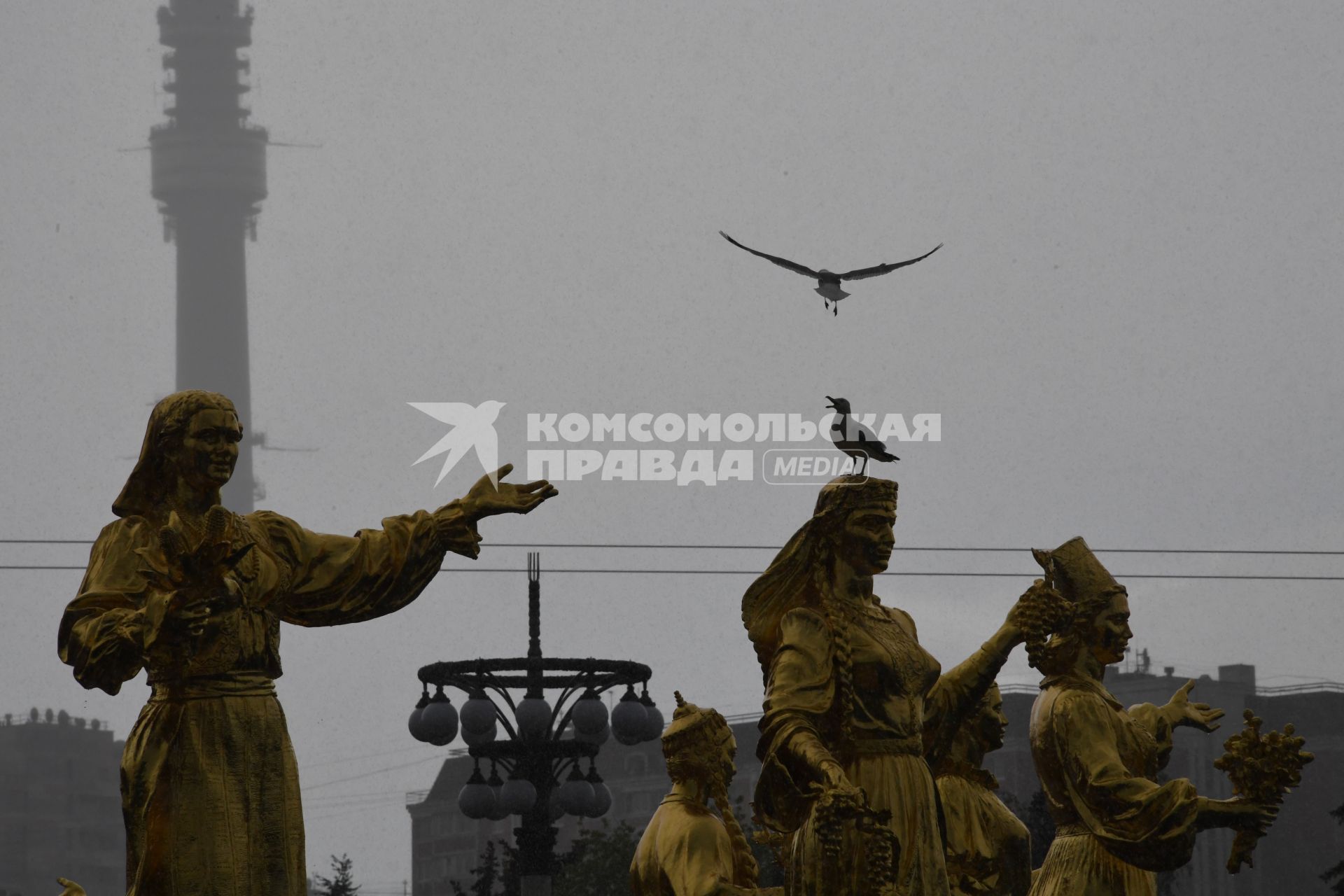 Москва.  Скульптуры фонтана `Дружба народов`.