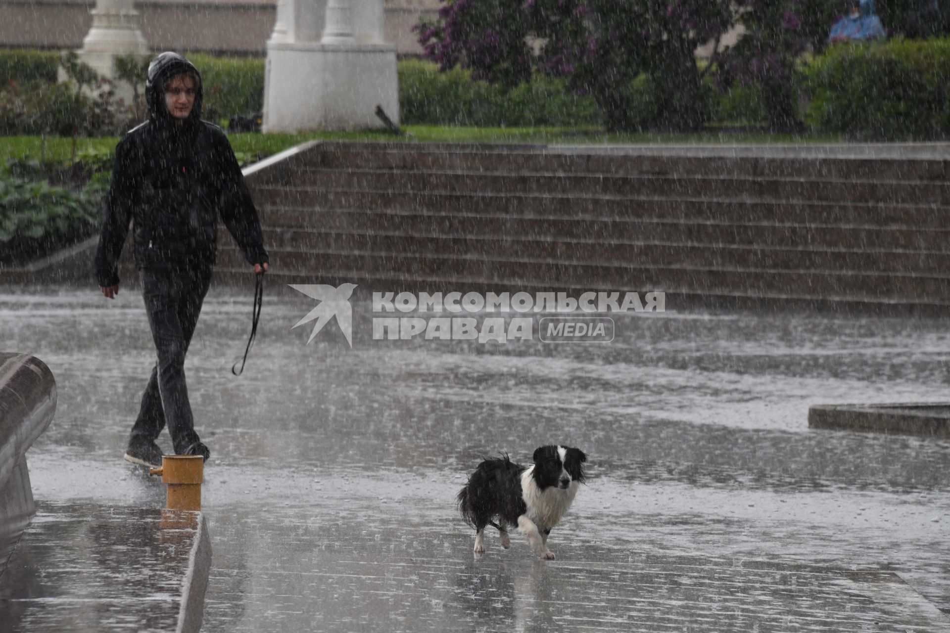 Москва.   Женщина гуляет с собакой под дождем.