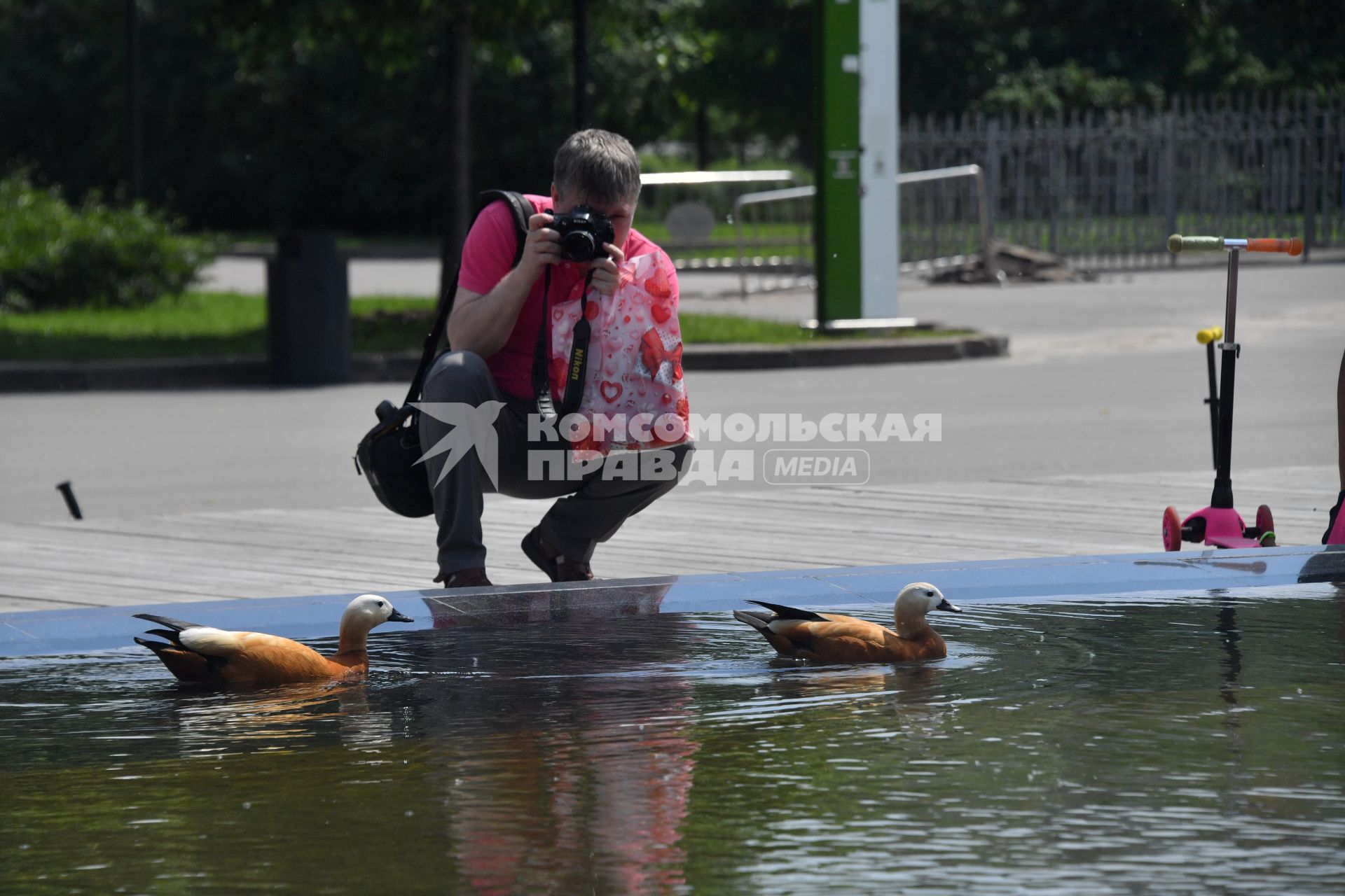 Москва. Мужчина фотографирует  утку в фонтане Парка Горького.