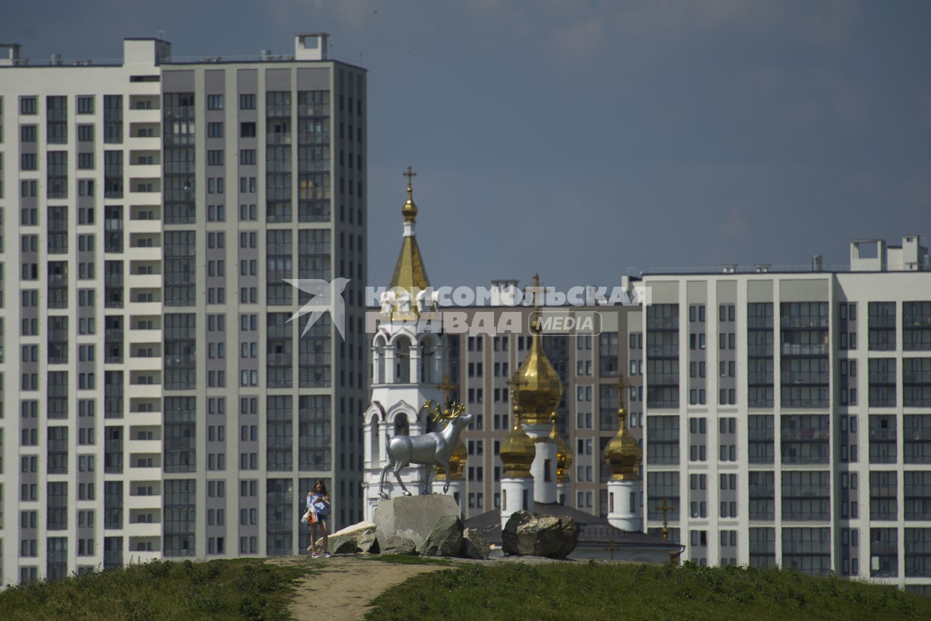 Екатеринбург. Новый жилой район \'Академический\'. Скульптура \'Северный олень\' в преображенском парке