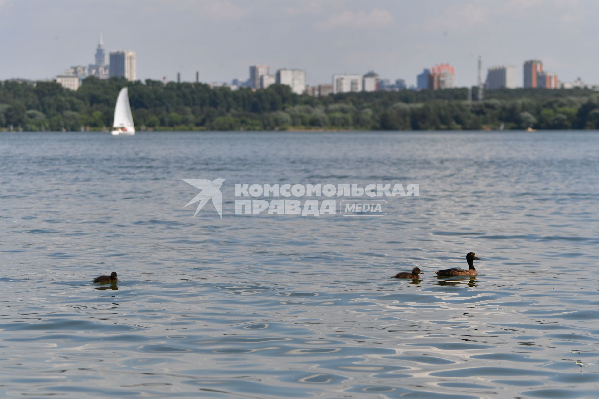 Москва. Отдых в районе Строгино.