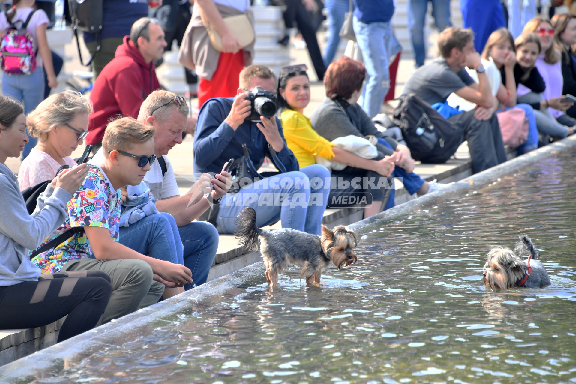 Москва.   Отдыхающие в парке.