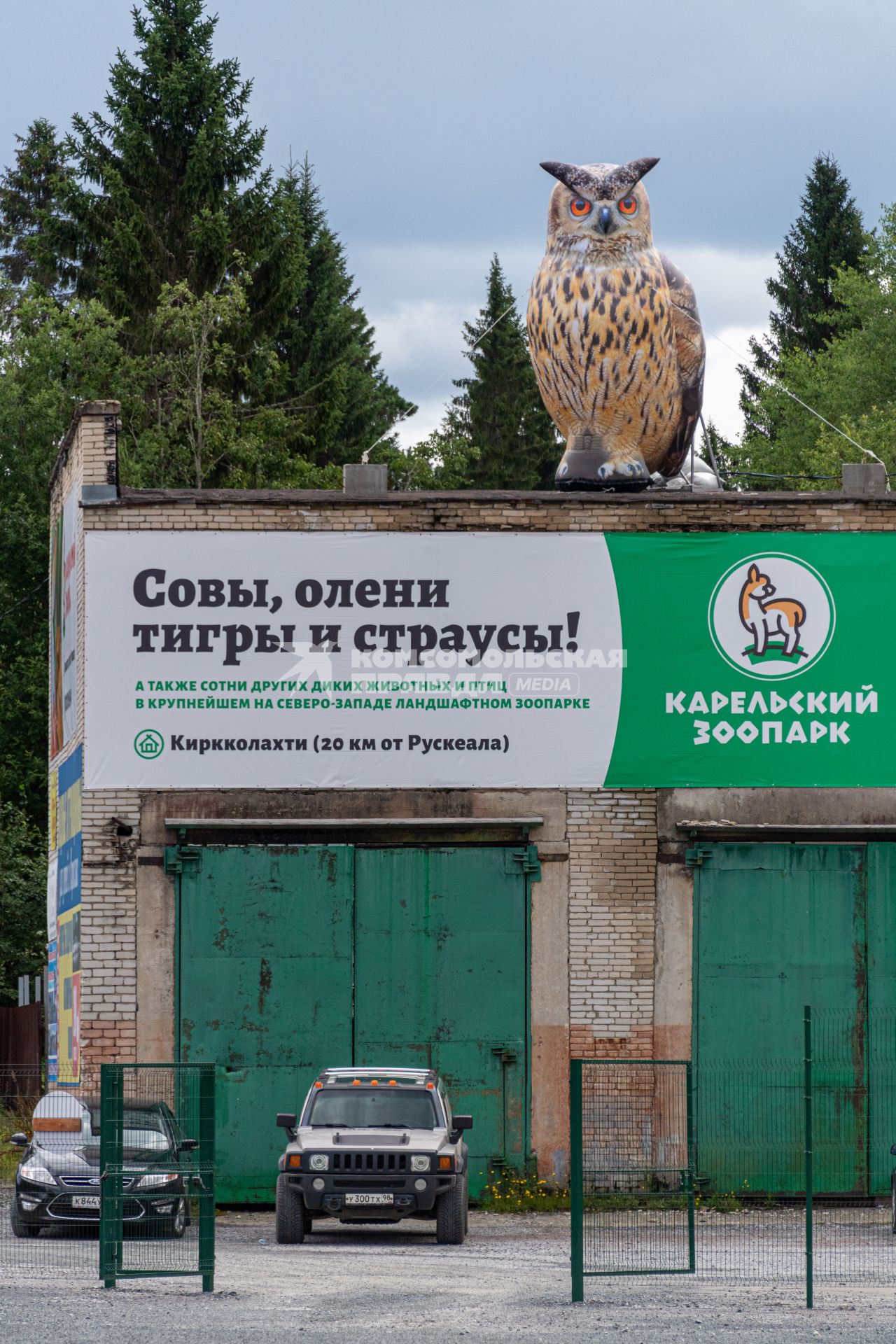 Карелия, Сортавала.  Карельский зоопарк на территории  горного парка  `Рускеала`.