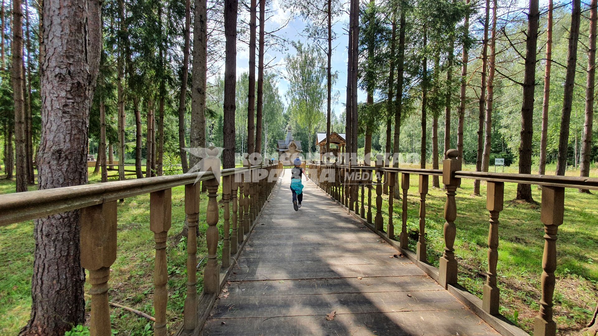 Смоленская область. Экологическая тропа ведет к истоку реки Днепр.