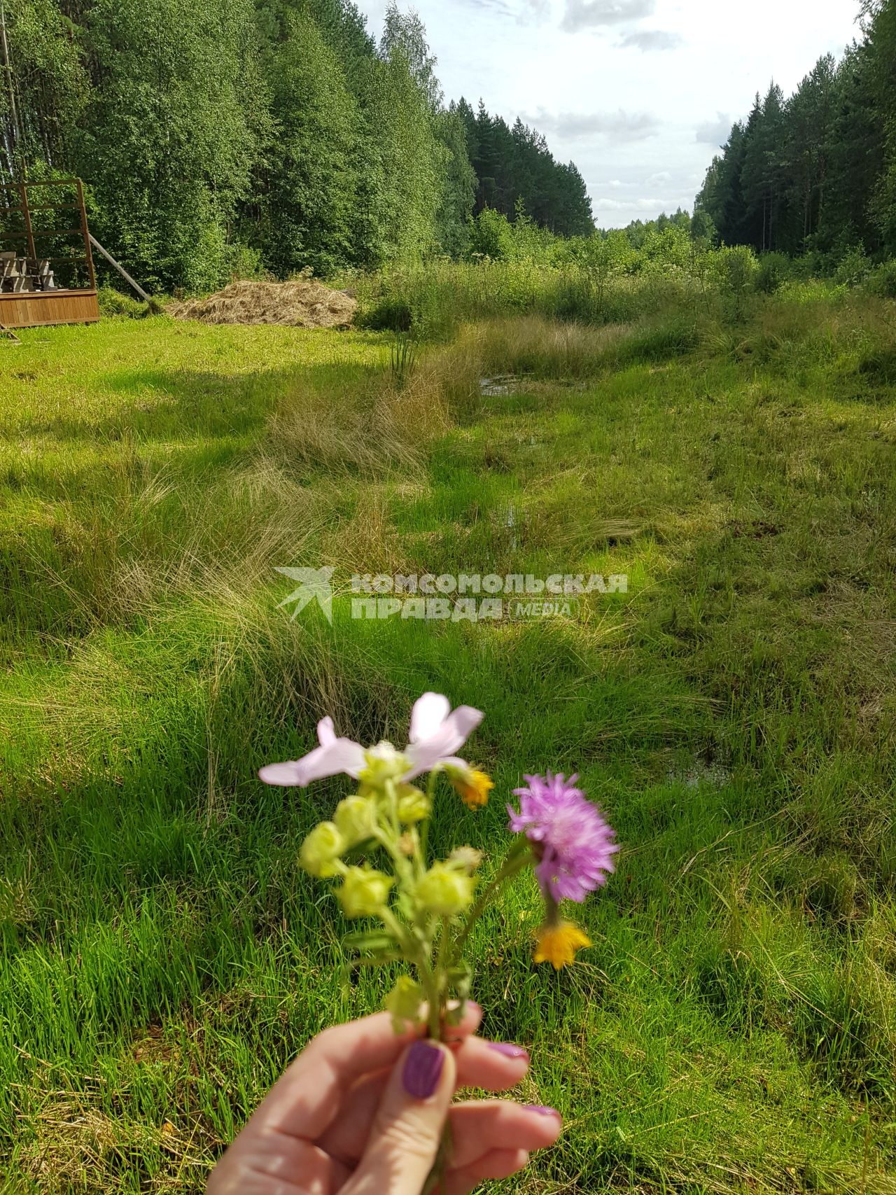 Смоленская область. Вид на исток Днепра.