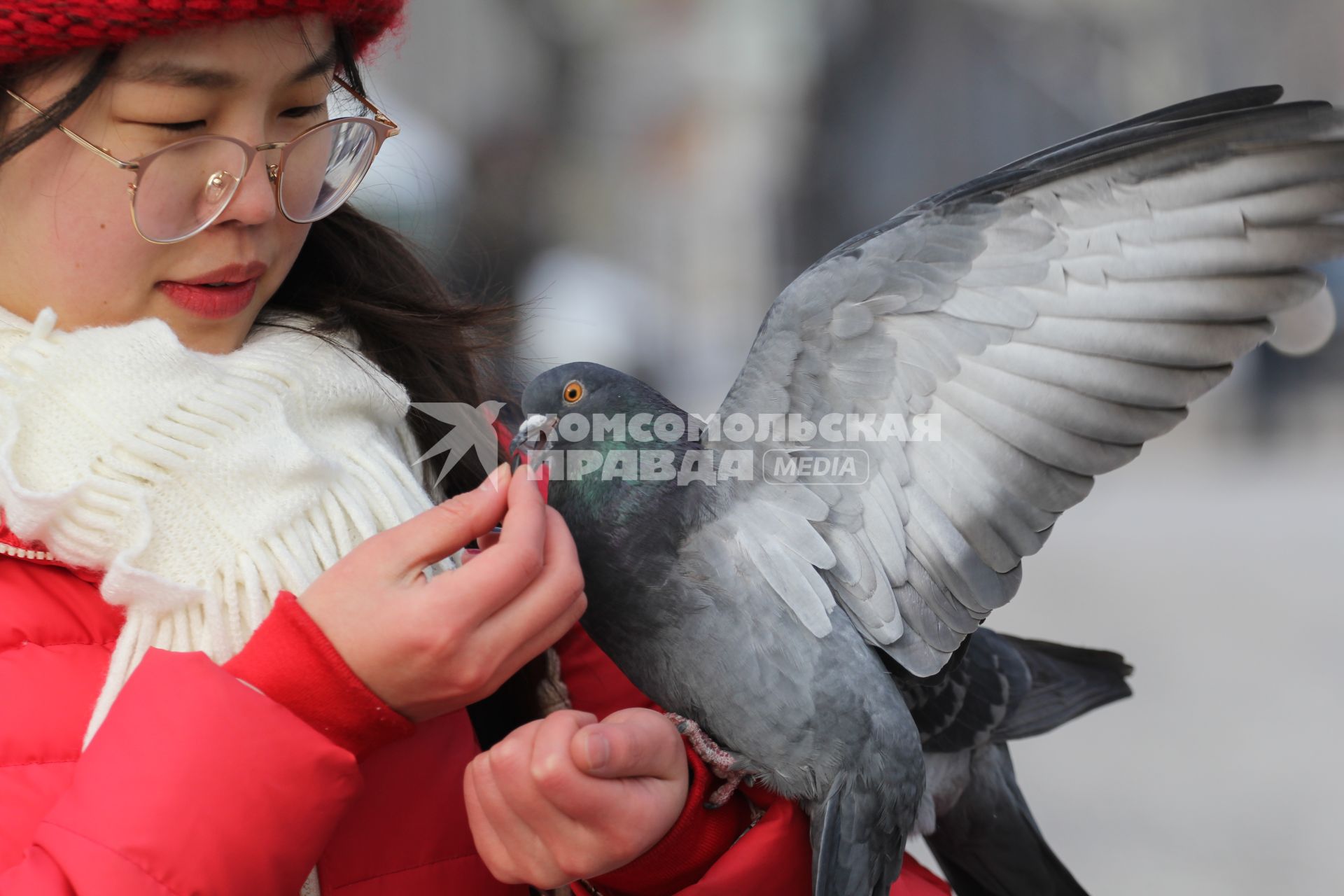 Иркутск. Китайская туристка кормит голубя.