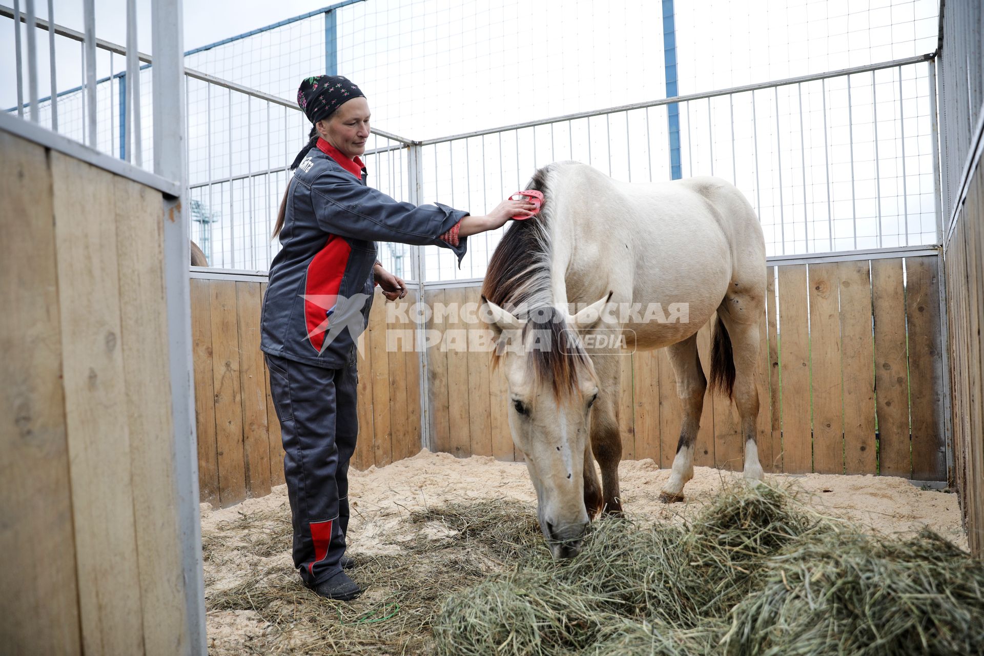 Минск. Женщина ухаживает за лошадью на XXX Международной сельскохозяйственной выставке `Белагро-2020` на Футбольном манеже.