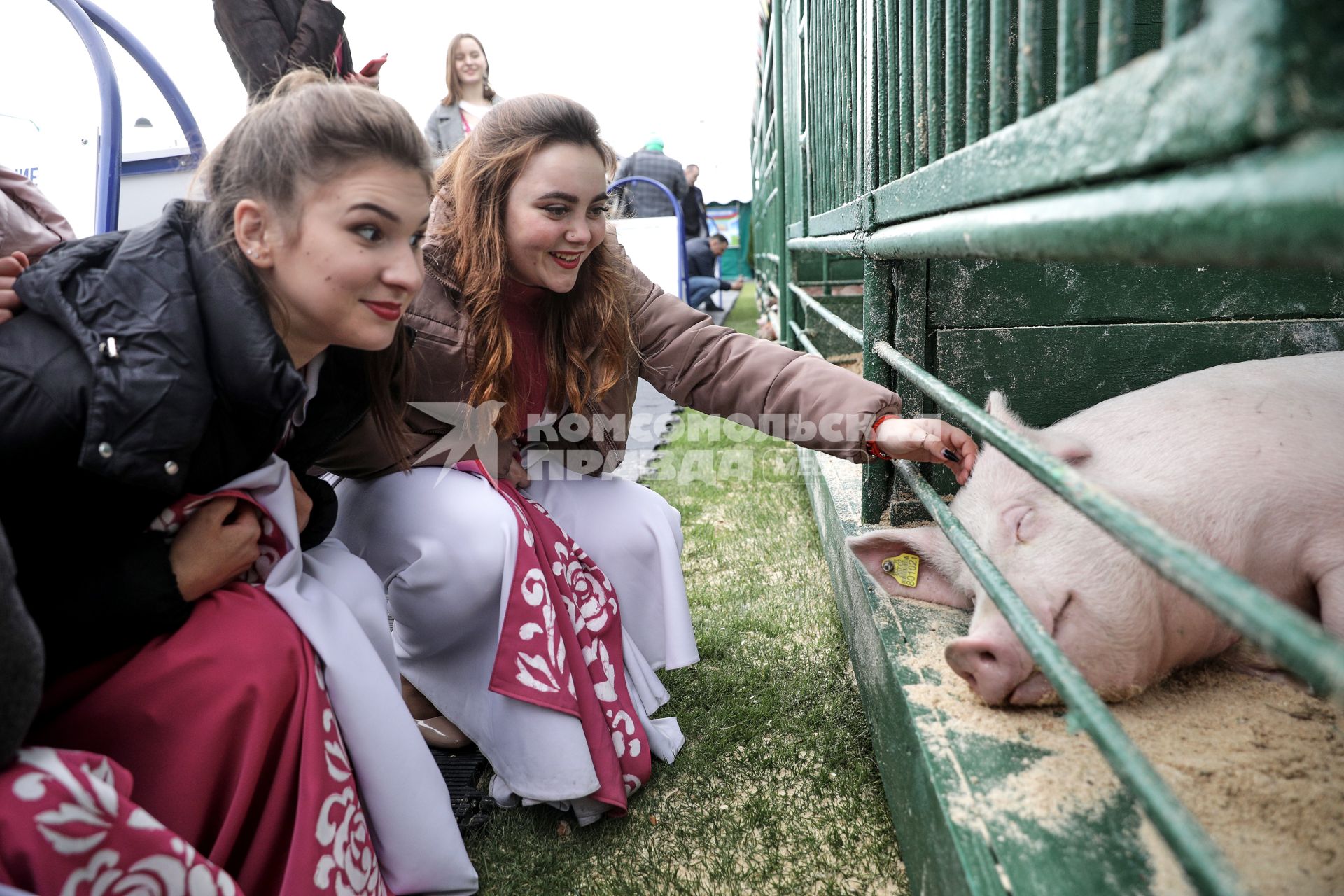 Минск. Девушка гладит свинью на XXX Международной сельскохозяйственной выставке `Белагро-2020` на Футбольном манеже.
