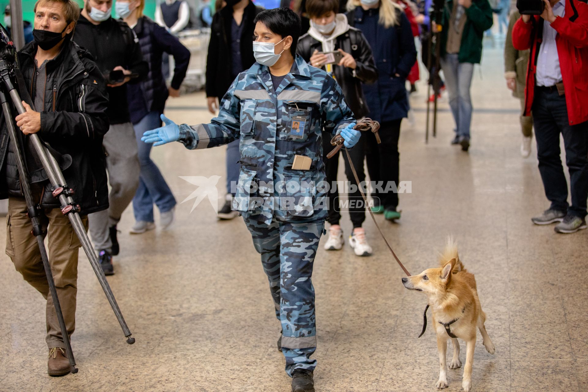 Москва, аэропорт Шереметьево. Сотрудница службы безопасности аэропорта со служебной собакой  породы шалайка (гибрид шакала и лайки) во время патрулирования аэропорта.