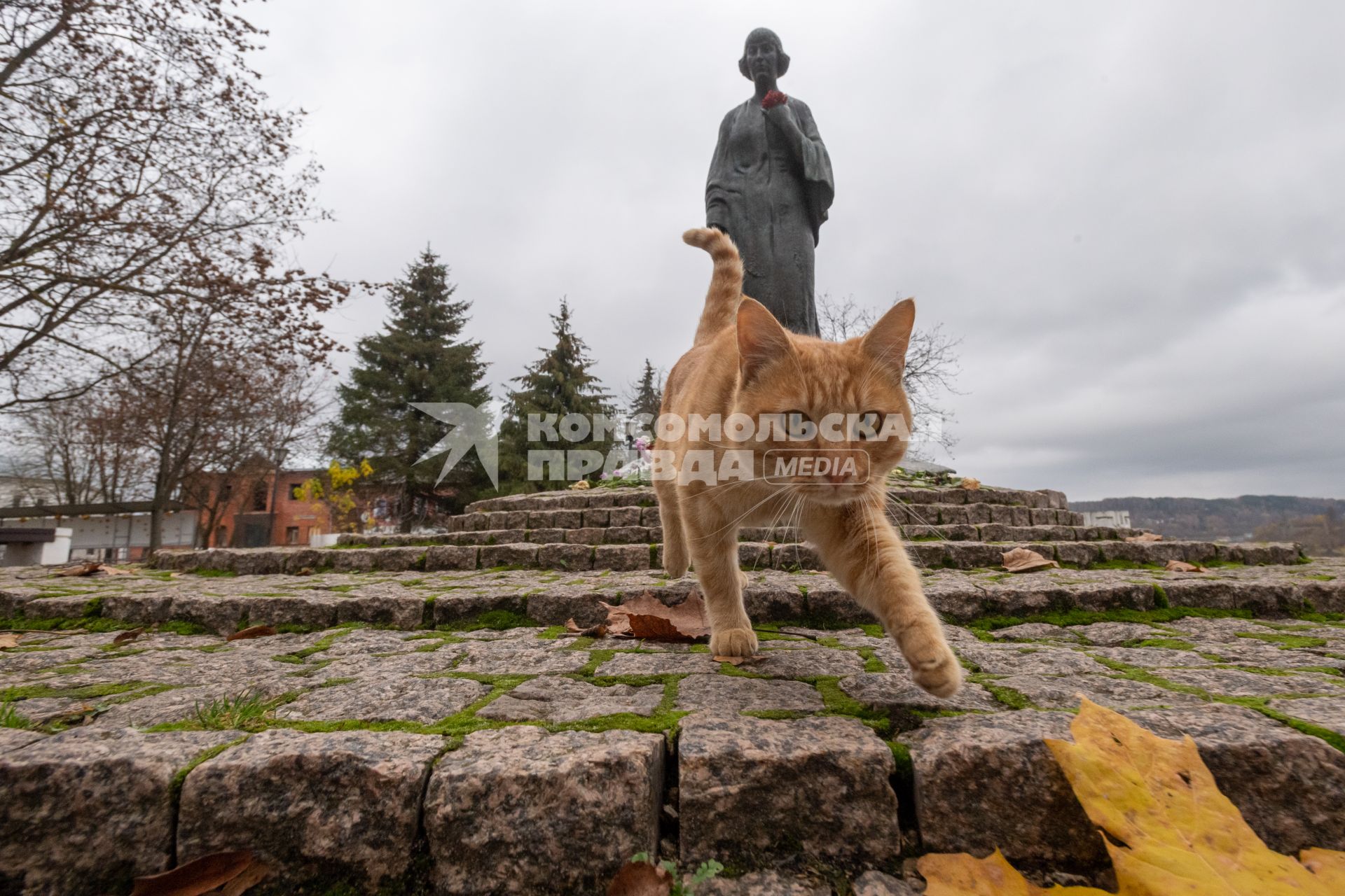 г.Таруса. Памятник поэтессе Марине Цветаевой и местный кот.