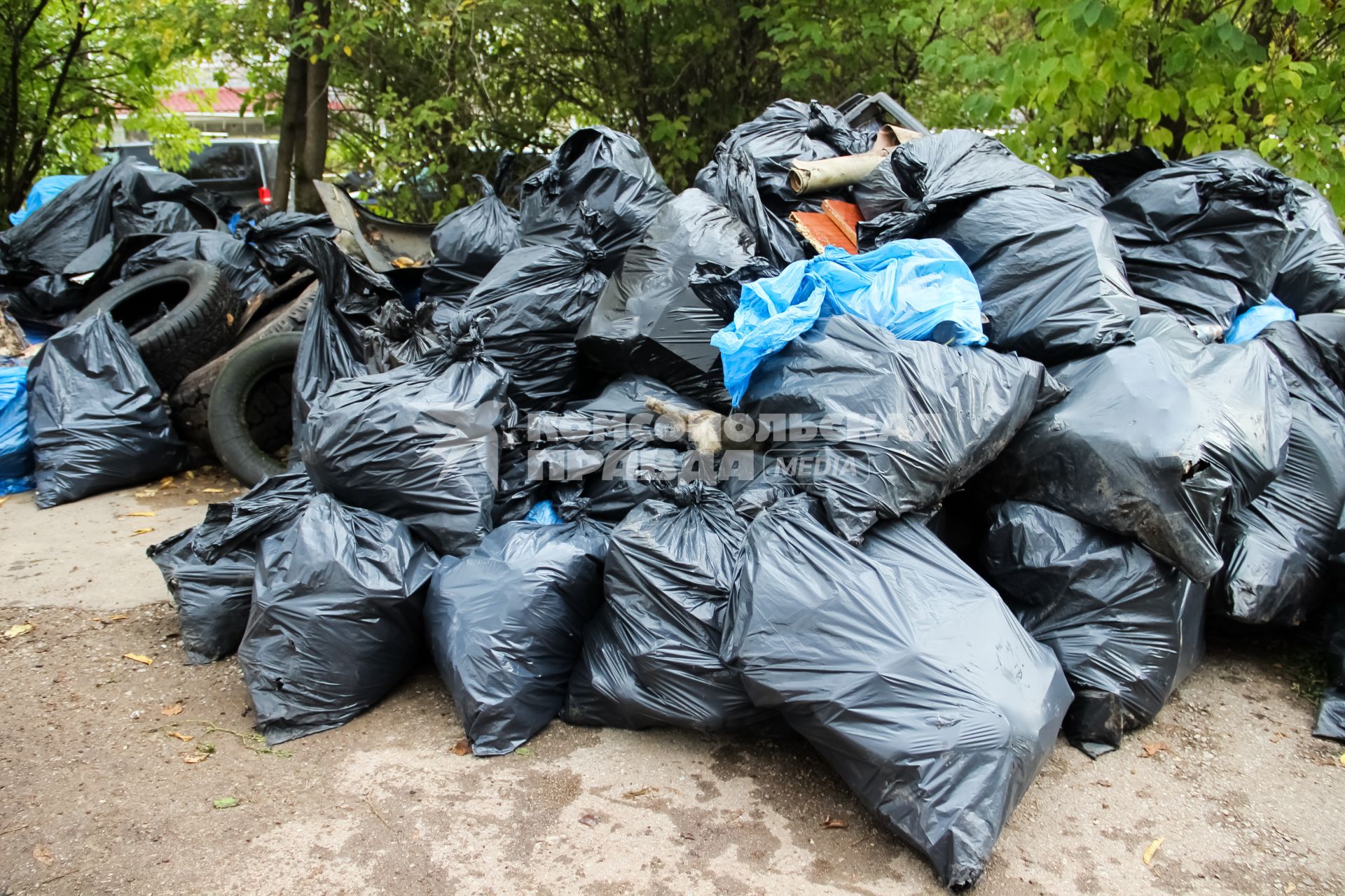 Пермь. Мешки с мусором, собранным волонтерами в лесу