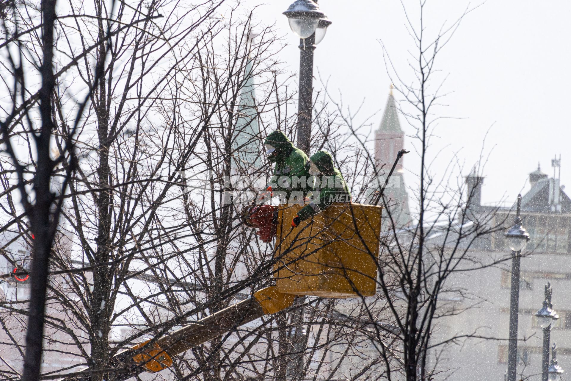 Москва.  Работники коммунальной службы обрезают ветки дерева на Тверской улице.