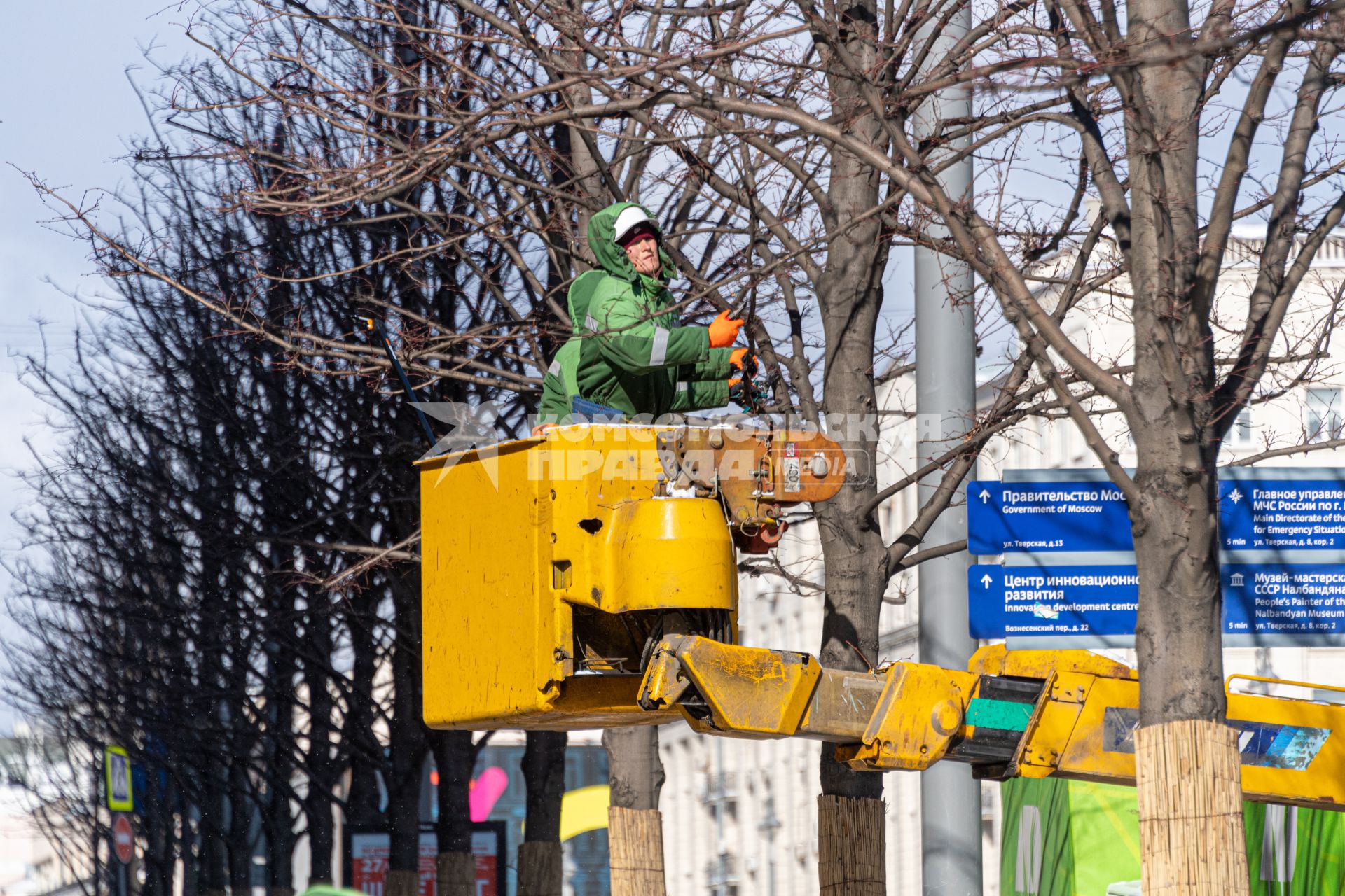 Москва.   Работник коммунальной службы обрезает ветки дерева на Тверской улице.
