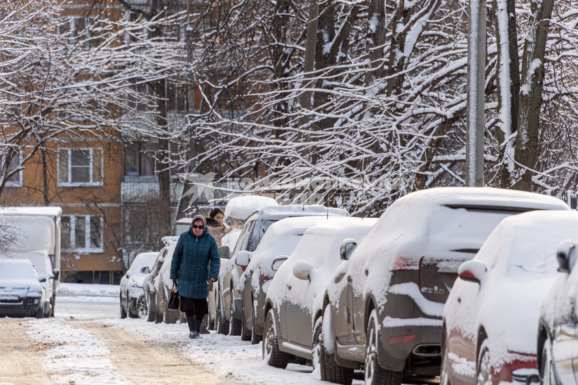 Москва. Заснеженные автомобили на одной из улиц.