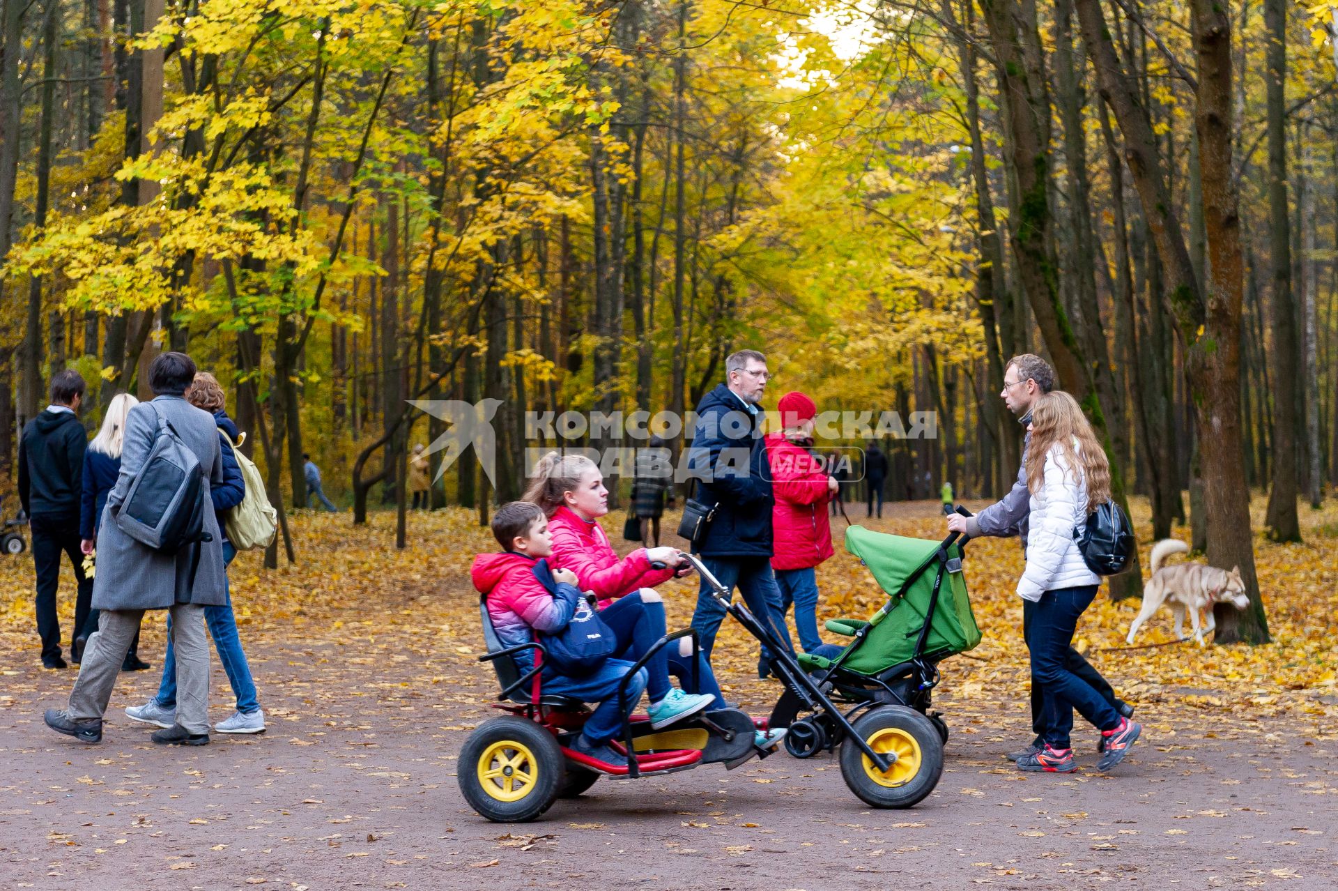 Санкт-Петербург. Женщина с ребенком едут на веломобиле по Михайловскому саду.