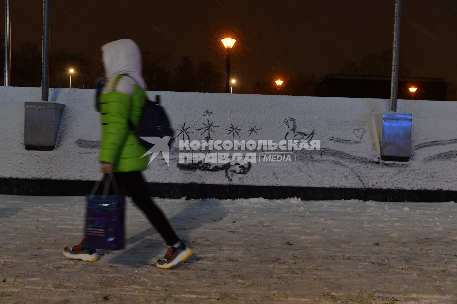 Москва.  Во время снегопада.