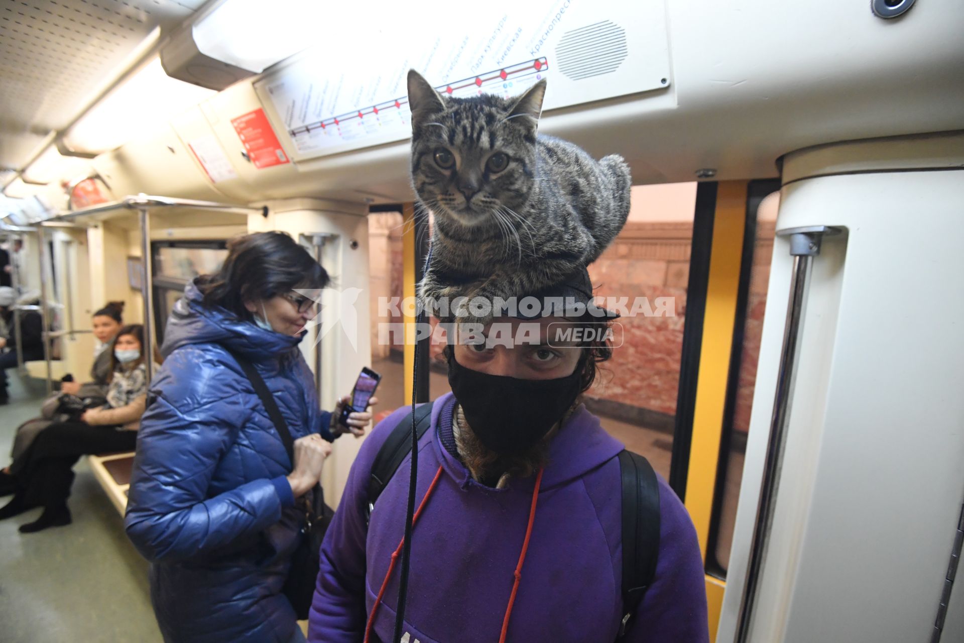 Москва. Мужчина с котом на голове в вагоне поезда метро.