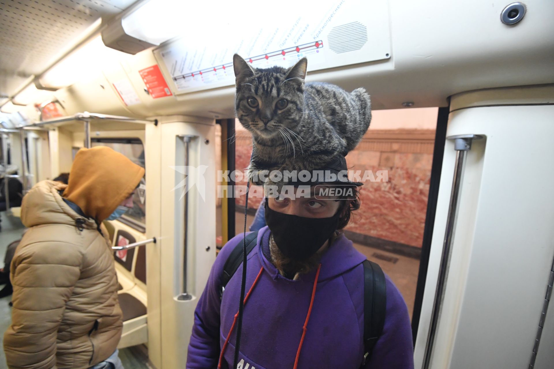 Москва. Мужчина с котом на голове в вагоне поезда метро.