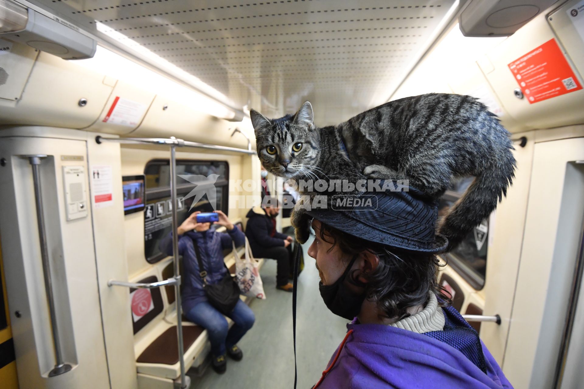 Москва. Мужчина с котом на голове в вагоне поезда метро.