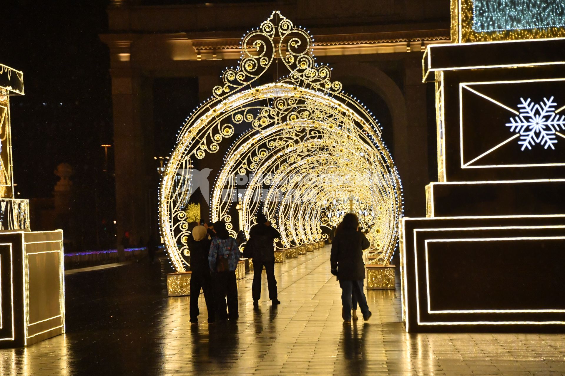 Москва. Новогодняя иллюминация на Центральной аллее ВДНХ.