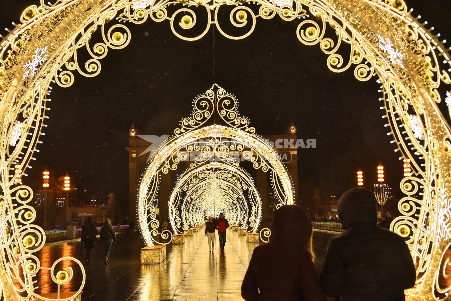 Москва. Новогодняя иллюминация на Центральной аллее ВДНХ.