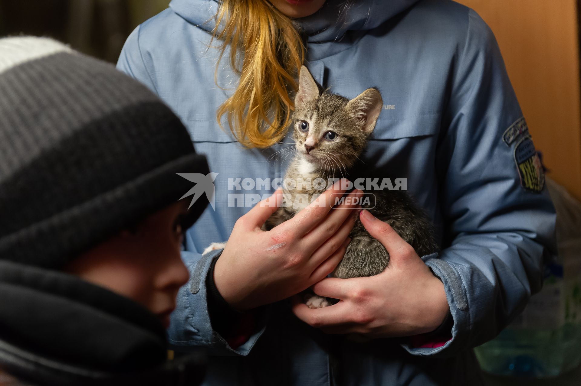 Санкт-Петербург. Дети пришли пообщаться с эрмитажными котами.