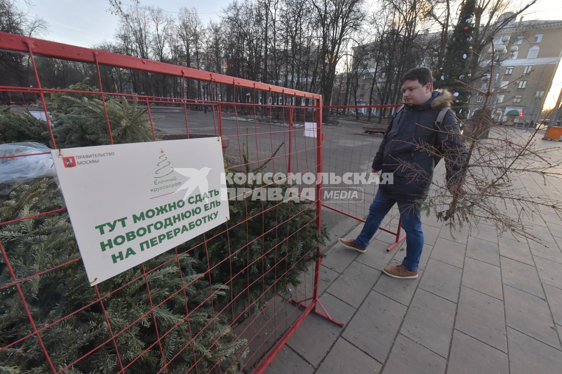 Москва. Корреспондент КП Павел Клоков сдает новогоднюю елку в пункт приема для дальнейшей переработки.