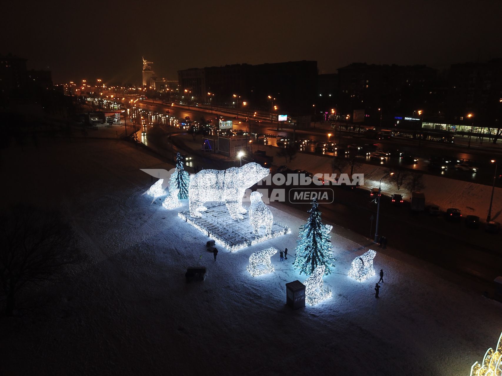 Москва.  Вид на новогоднюю иллюминацию `Полярные медведи`в парке у Ростокинского акведука.