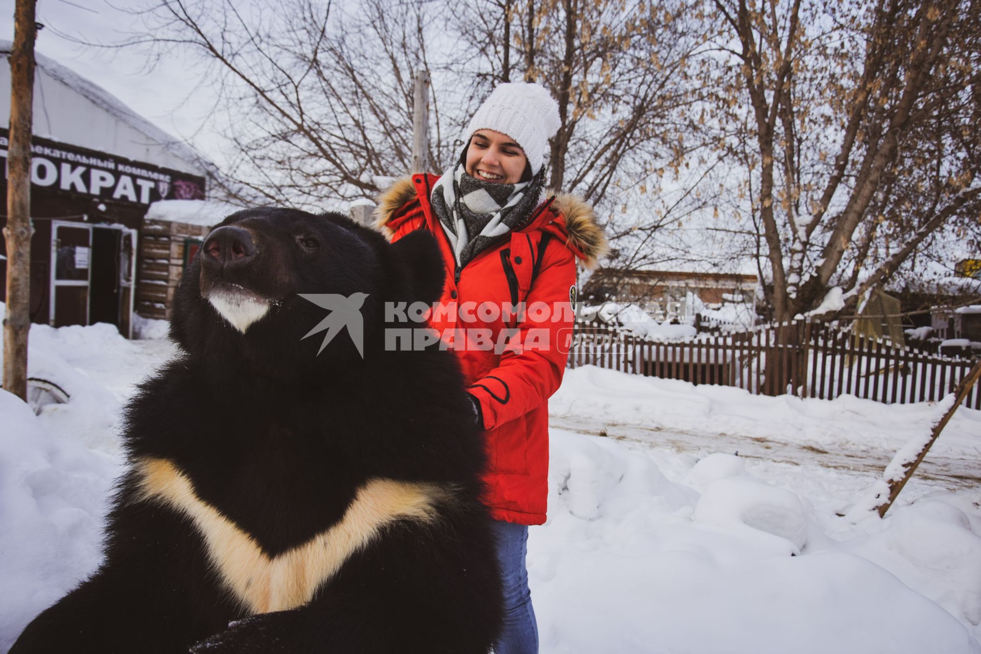 Новосибирск. Девушка с медведем.