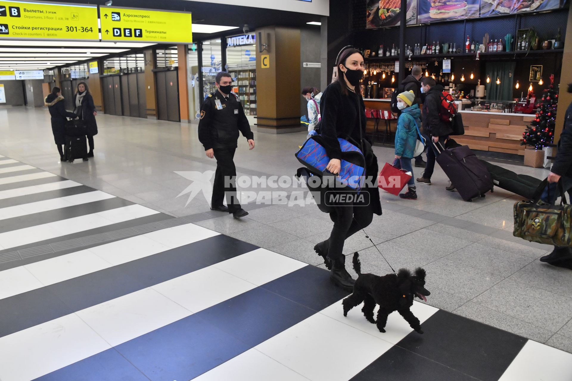 Москва.  Пассажиры в международном аэропорту Шереметьево.