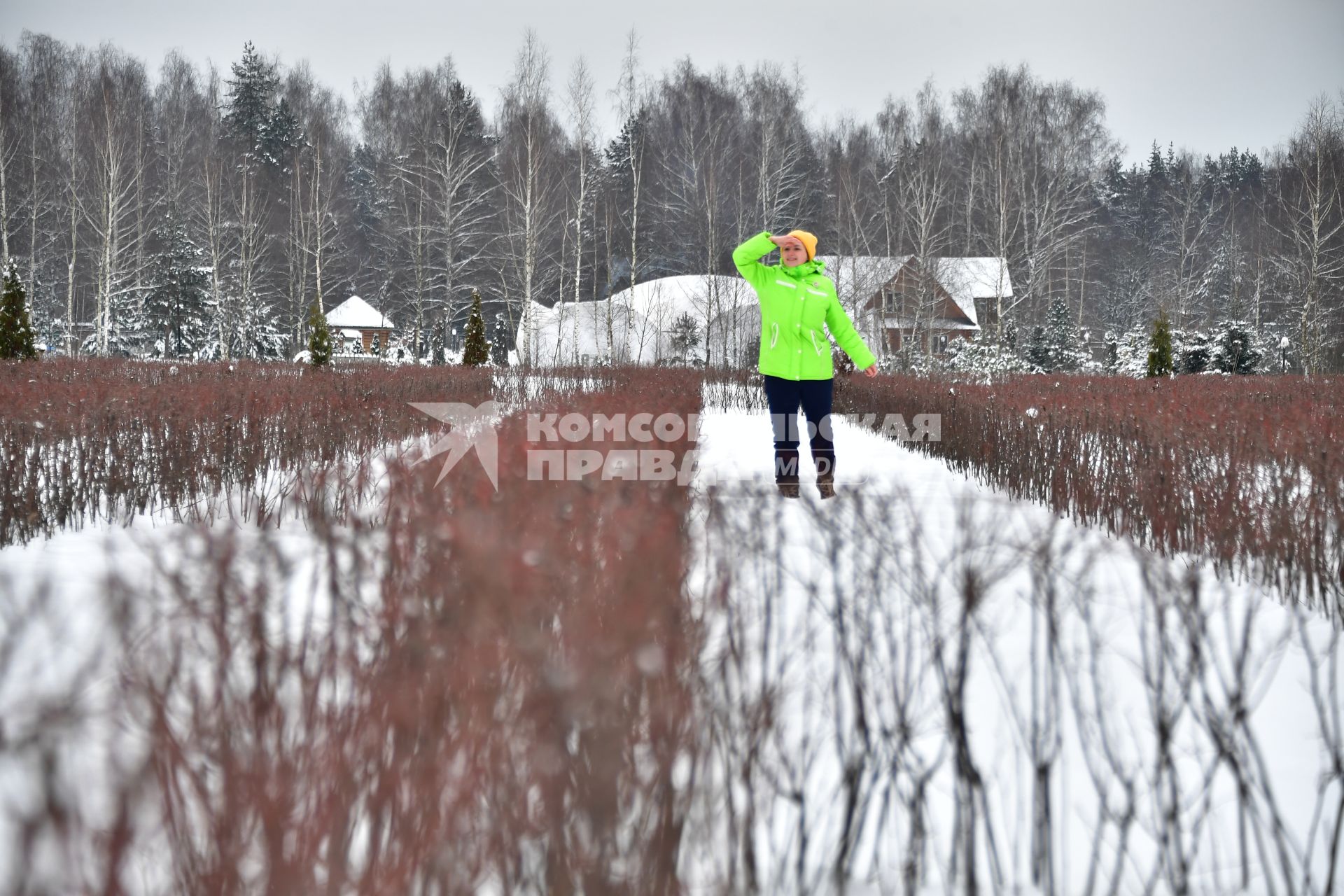 Москва. Лабиринт в парке Лосиный остров.