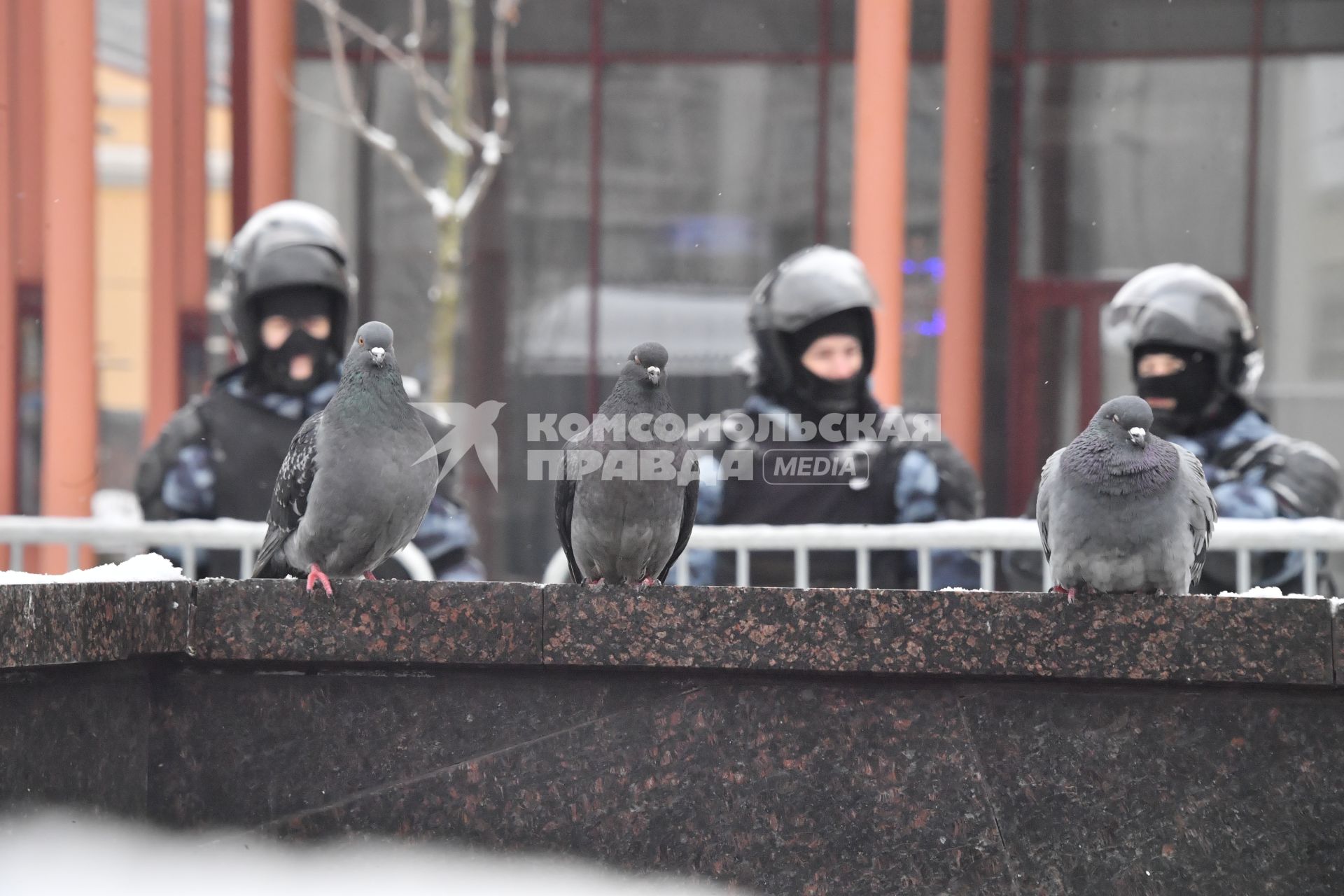 Москва. Сотрудники правоохранительных органов  во время несанкционированной акции в поддержку Алексея Навального.