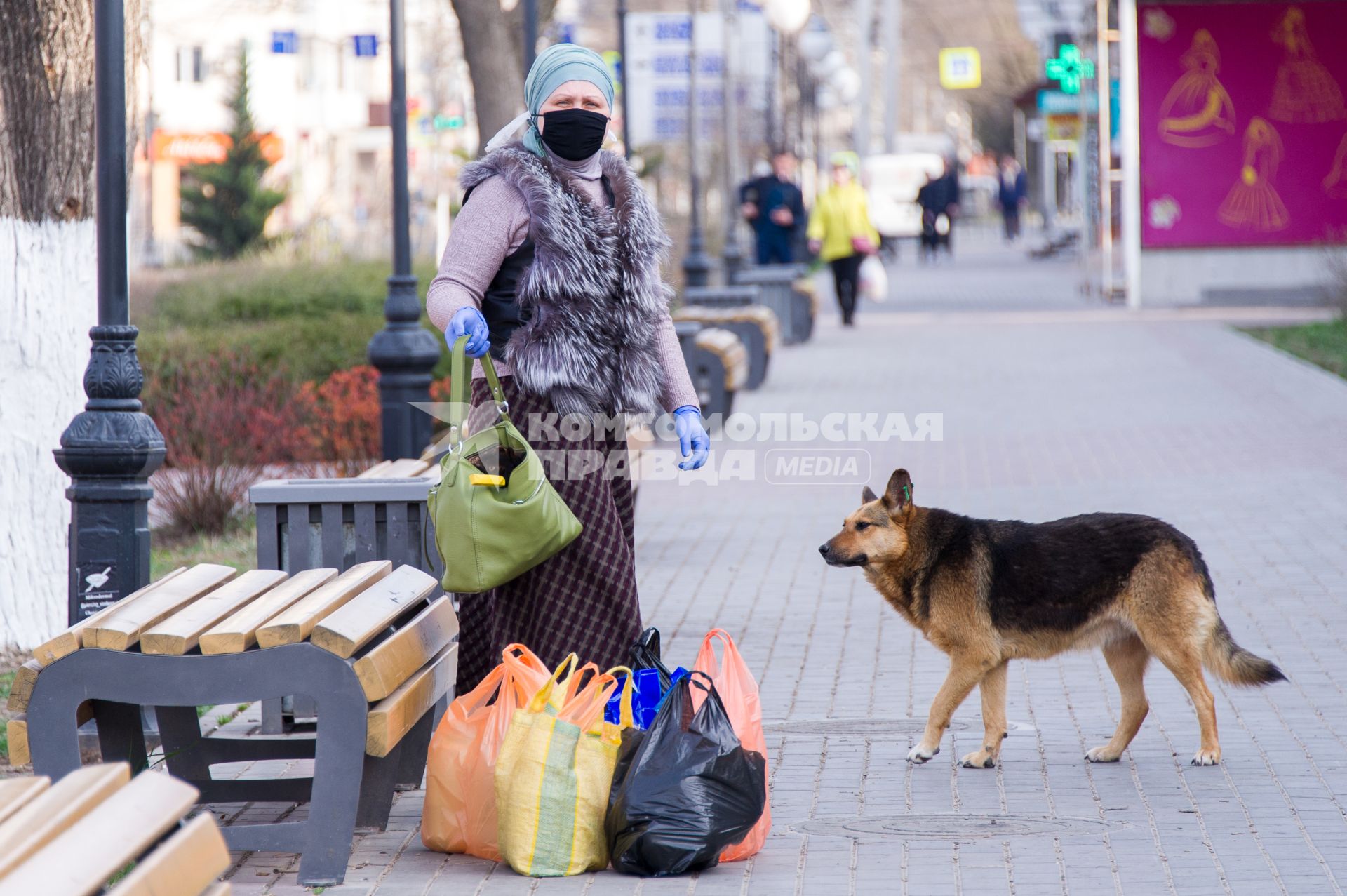 Крым, Симферополь. Женщина и собака.