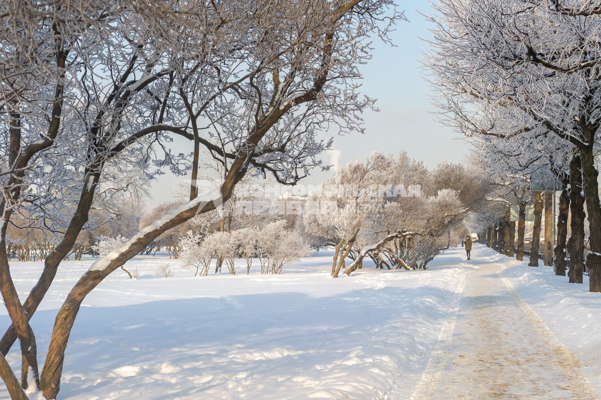 Санкт-Петербург. Заснеженный город.