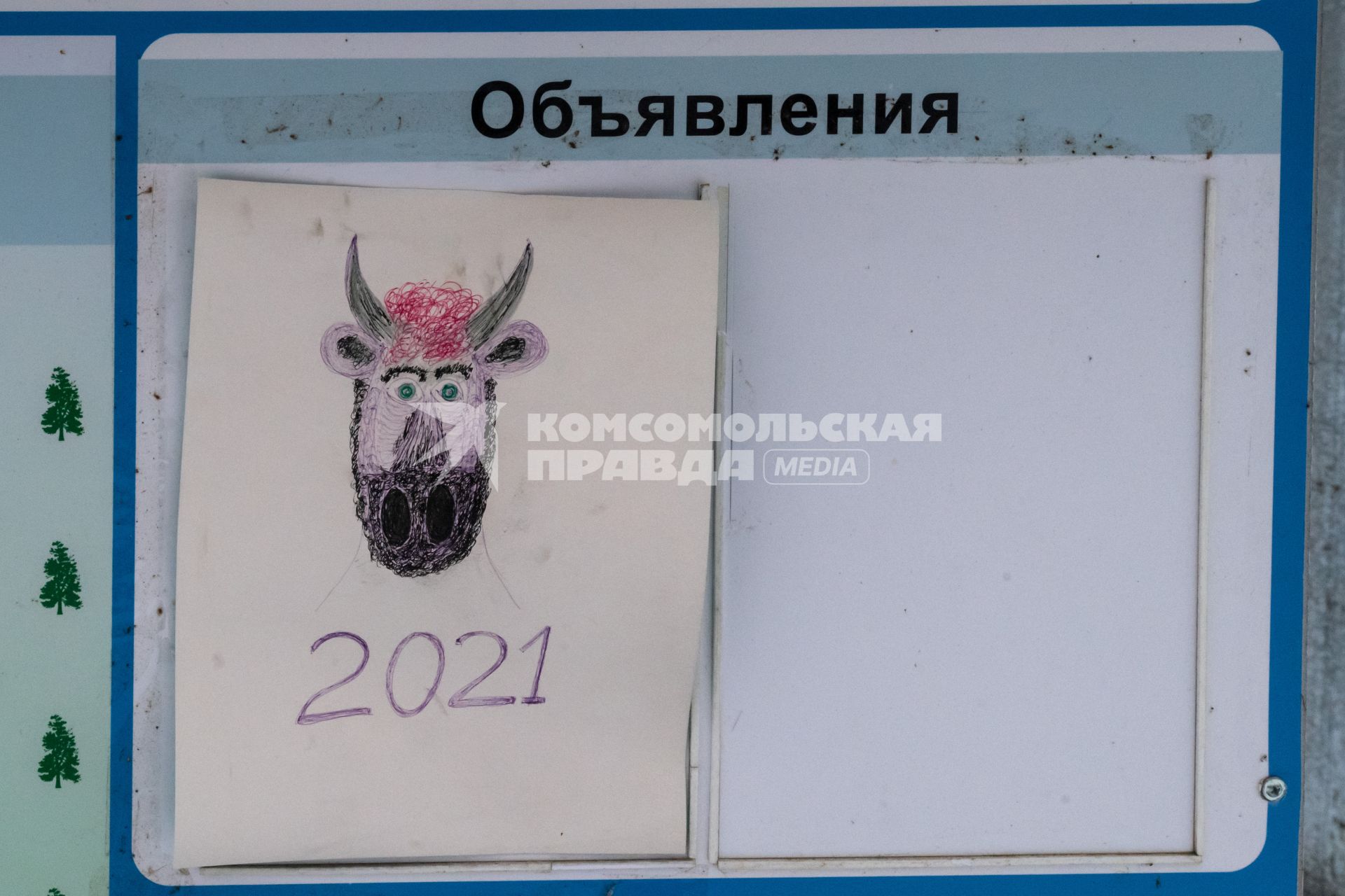 Московская область, Кубинка. Доска объявлений на территории бывшего  пансионата `Голубое озеро`.